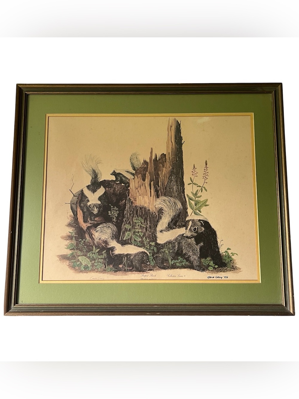 VTG MCM Signed Matted Framed Print Striped Skunk Gene Gray Ltd Ed. 1969 27"x 23"